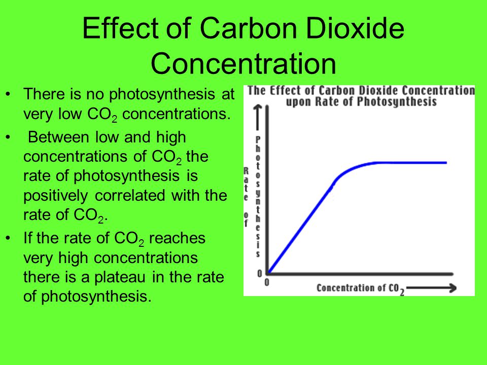 To investigate the effect of carbon dioxide concentration on the rate of photosynthesis Essay